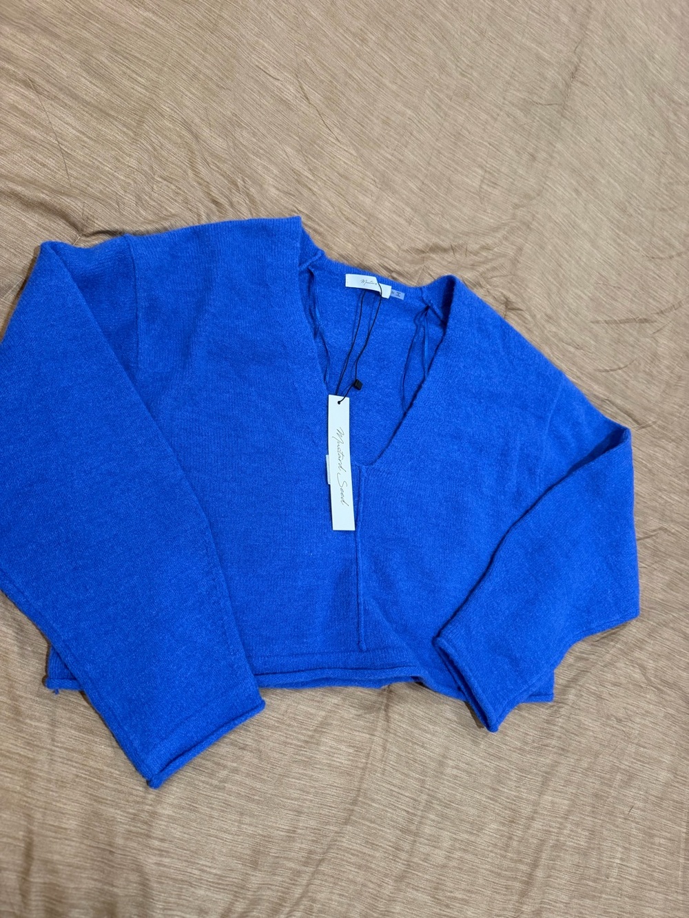 Mustard Seed V-Neck Cropped Sweater in Bright Blue